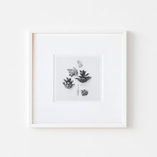 Load image into Gallery viewer, Nature compositions. Flower garden.