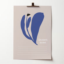 Load image into Gallery viewer, Monthly dream catcher 2026
